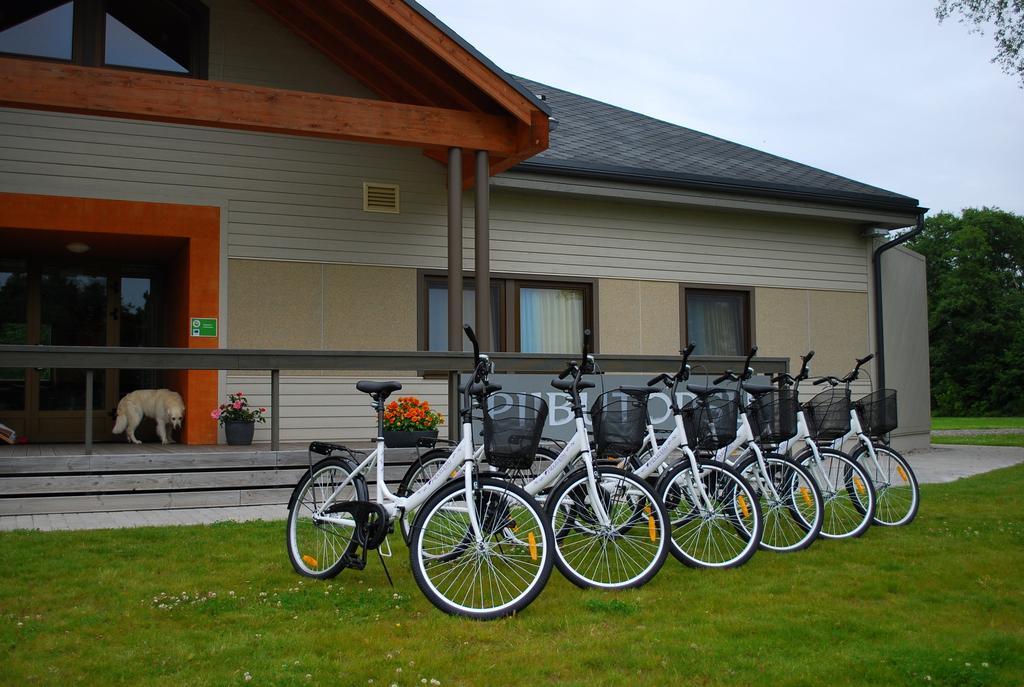 Piibutopsu Holiday House Nasva Zewnętrze zdjęcie